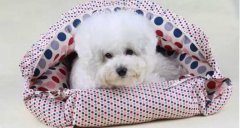 氣溫驟變，謹記寵物保暖工作哦！