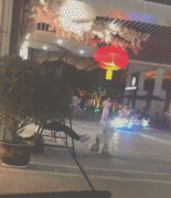 假如狗子能上網打字發圈，它會說... ?