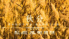 秋分丨晝夜分畫，漸入秋華